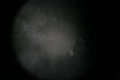 img_7364.jpg